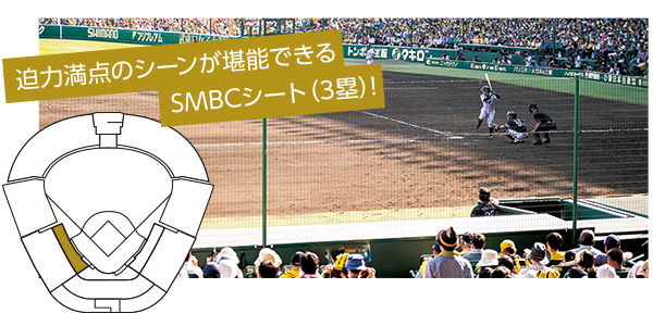 迫力満点のシーンが堪能できるSMBCシート(3塁)!