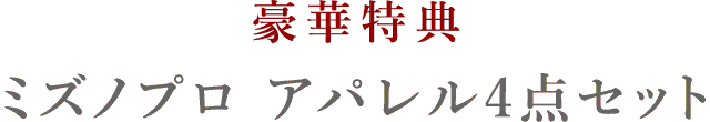 豪華特典ミズノプロアパレル４点セット