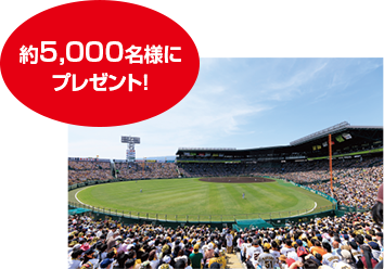 グラウンドウォーク