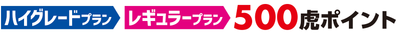 レギュラープラン500虎ポイント