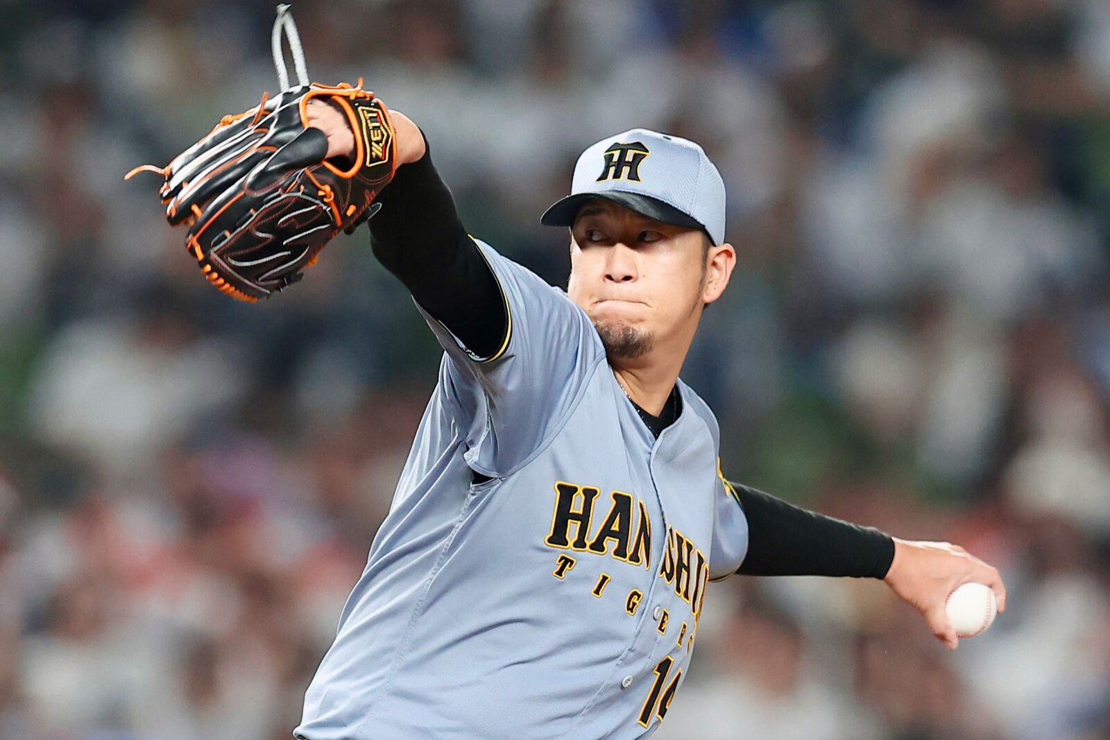 月刊タイガース 2015年セット 阪神タイガースの球団発行誌「月刊タイガース」