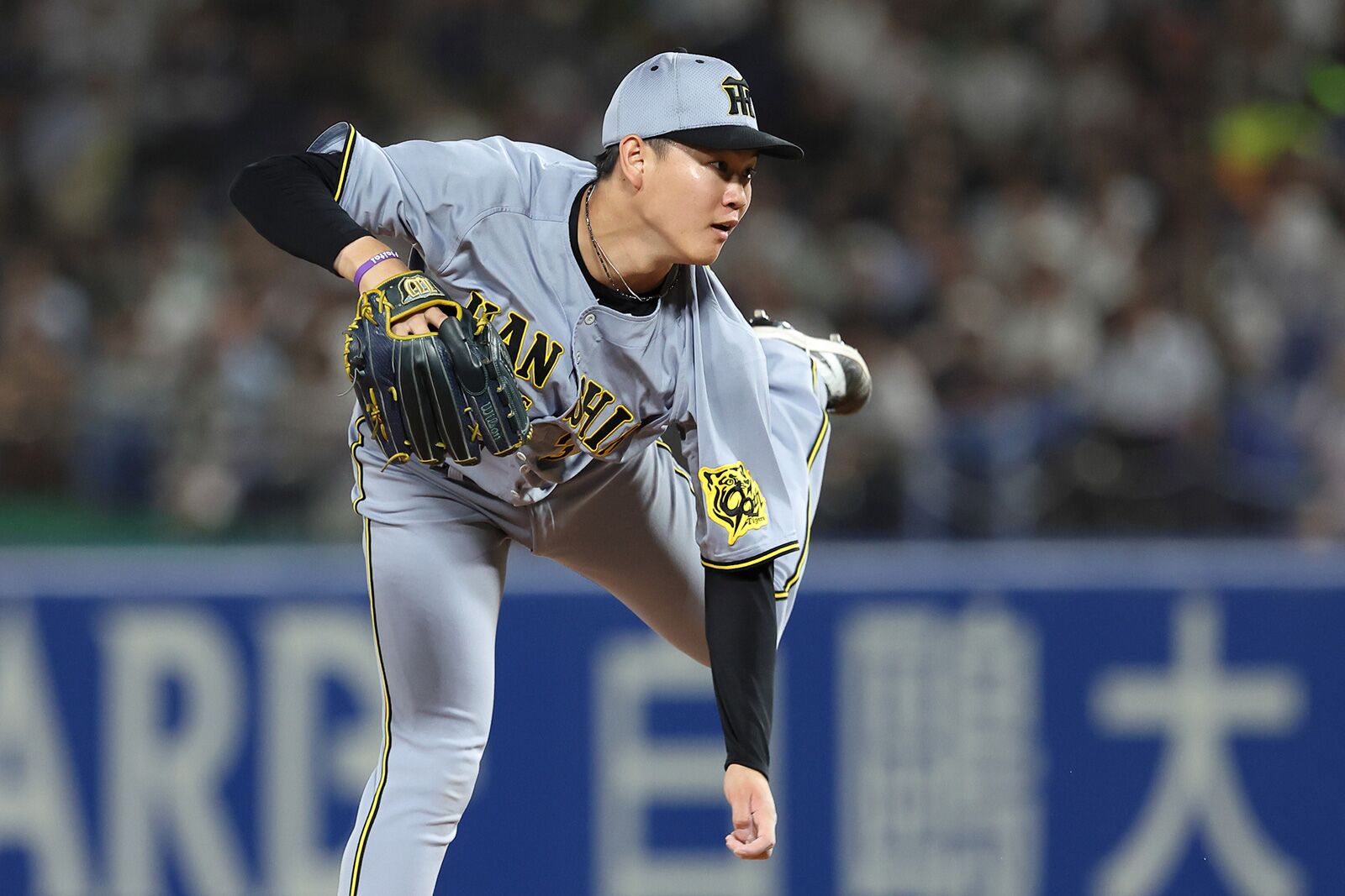 ki-gu-mi x タイガース 阪神甲子園球場 Amazon.co.jp: kigumi x タイガース 阪神甲子園球場 9SXPZH
