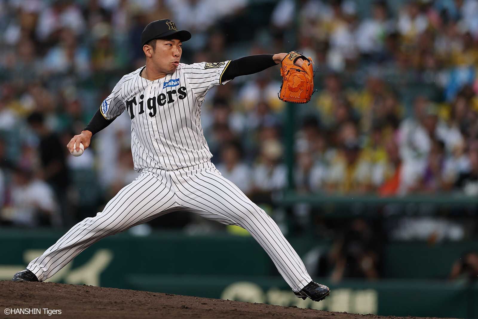 阪神タイガース 公式サイト 阪神タイガース 公式サイト