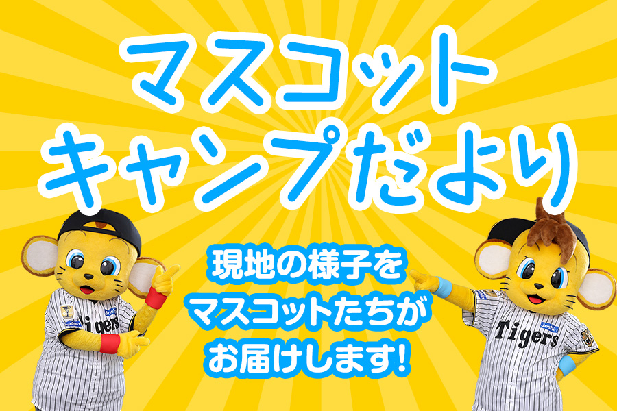 キャンプだより