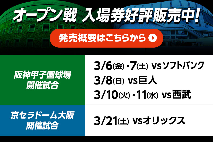 オープン戦入場券