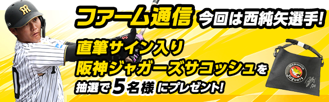 ファーム通信プレゼント