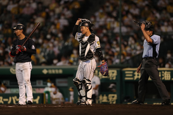 ニュース - 選手の道具紹介 - 坂本誠志郎選手 愛用のキャッチャー