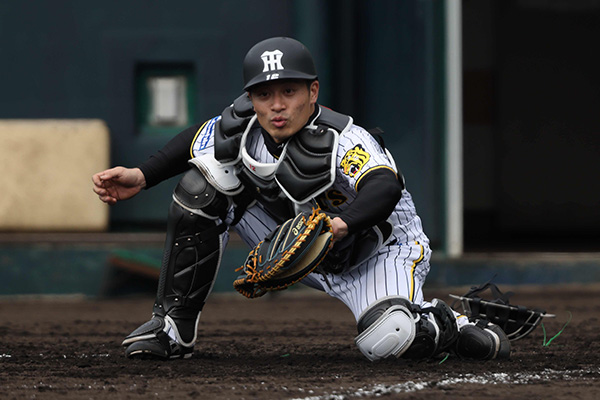 Yahoo!オークション - 阪神タイガース 坂本誠志郎選手直筆サイン