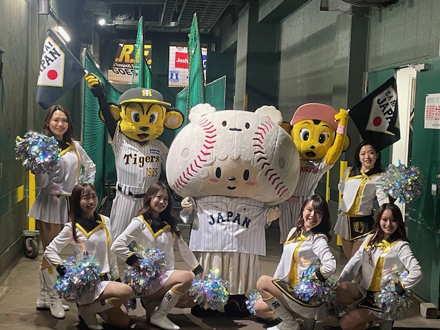 BBM2005 阪神タイガース レギュラーカード No.T036 新井智