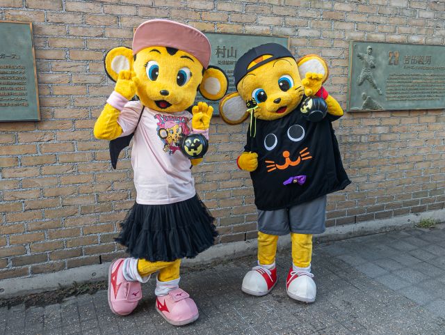 ニュース - マスコットフォト - マスコットフォト Vol.14｜阪神