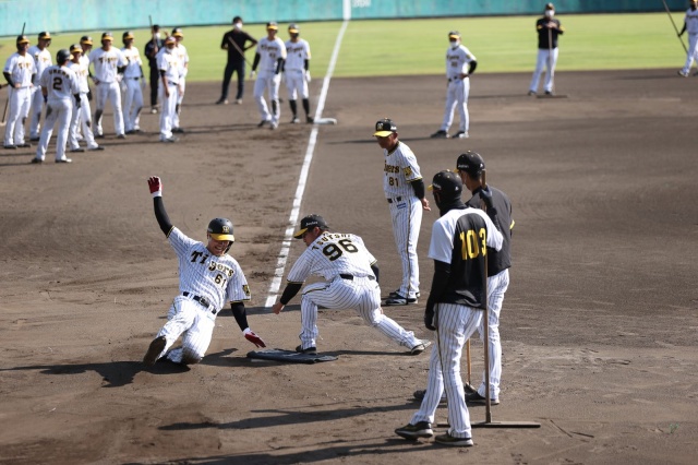 ニュース - 週刊虎スポ - 『不死鳥左腕』再起の誓い｜阪神