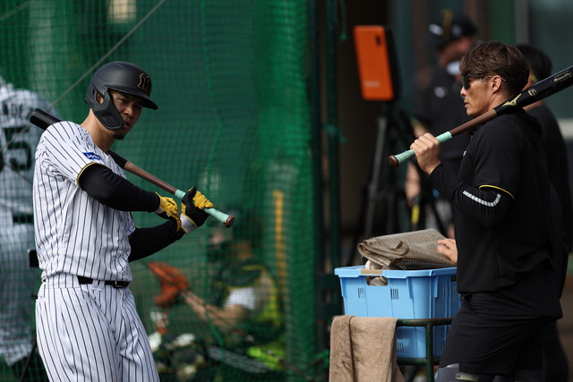 2026年沖縄キャンプ阪神タイガース 佐藤選手 ユニホームパンフレット