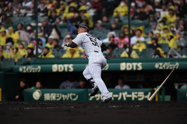 専用 2点 野球 阪神 沖縄 阪神タイガース f_17343339.jpg
