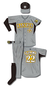 2008年交流戦ビジター