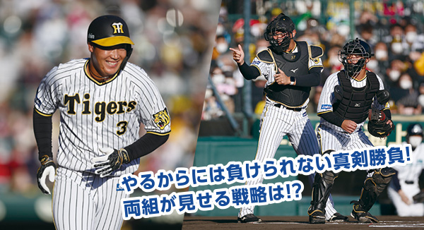 阪神タイガース ファン感謝デー2023 ハイタッチ券ハイタッチ券