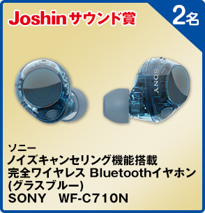 ソニーノイズキャンセリング機能搭載 完全ワイヤレス Bluetoothイヤホン(グラスブルー) SONY WF-C710N 2名