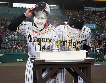 ファン感謝デー