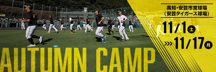 阪神タイガース 秋季キャンプ2025 安芸