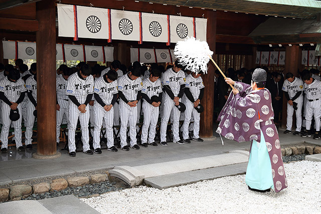 ニュース その他 廣田神社で必勝祈願 阪神タイガース 公式サイト