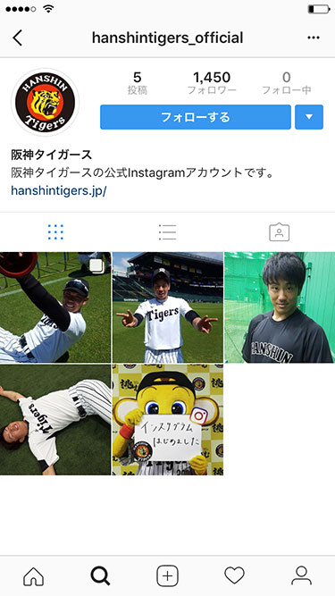 ニュース その他 Instagram インスタグラム 球団公式アカウント開設のお知らせ 阪神タイガース 公式サイト