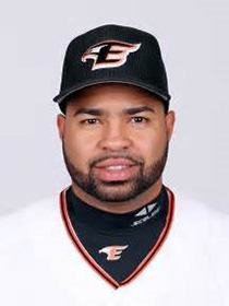 ニュース チーム ウィリン ロサリオ選手との契約締結について 阪神タイガース 公式サイト