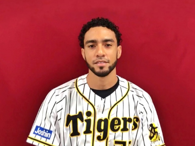 硬式木製バット YUM-555 阪神タイガース 近本光司選手モデル