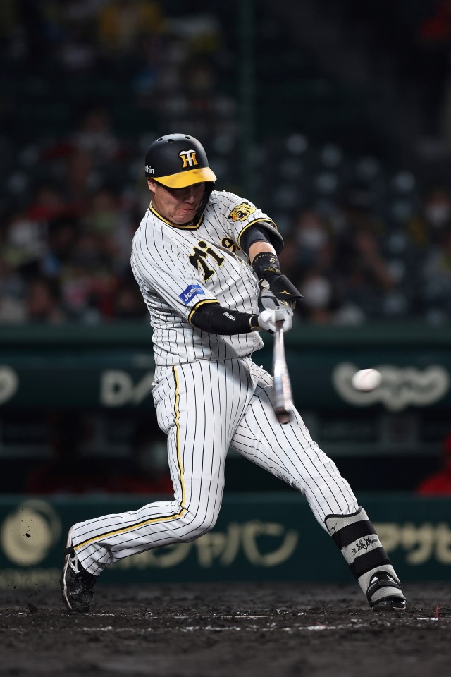 ニュース - その他 - 阪神タイガースDIDアワード 8月度月間賞決定