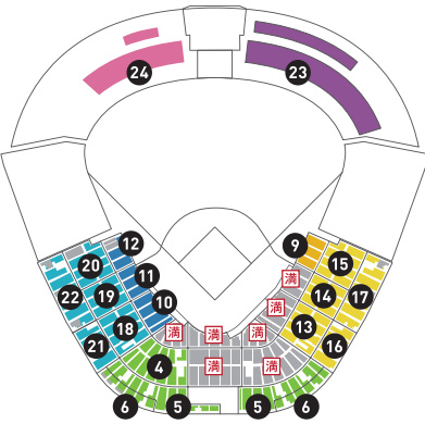 前席なし!通路横含む４/１６(土)阪神×巨人 甲子園年間予約アイビーペアチケット