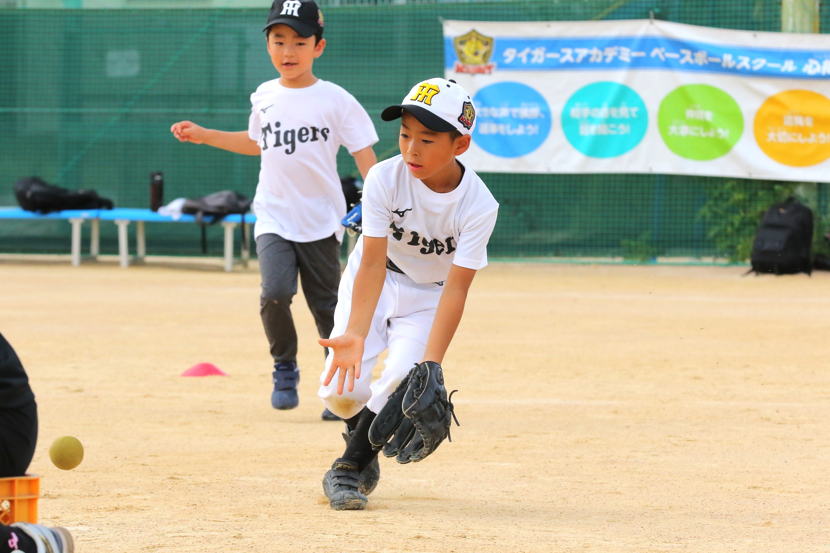 タイガースアカデミー　タイガースチア ユニフォーム150 リボン付き タイガースアカデミー｜阪神タイガース公式サイト