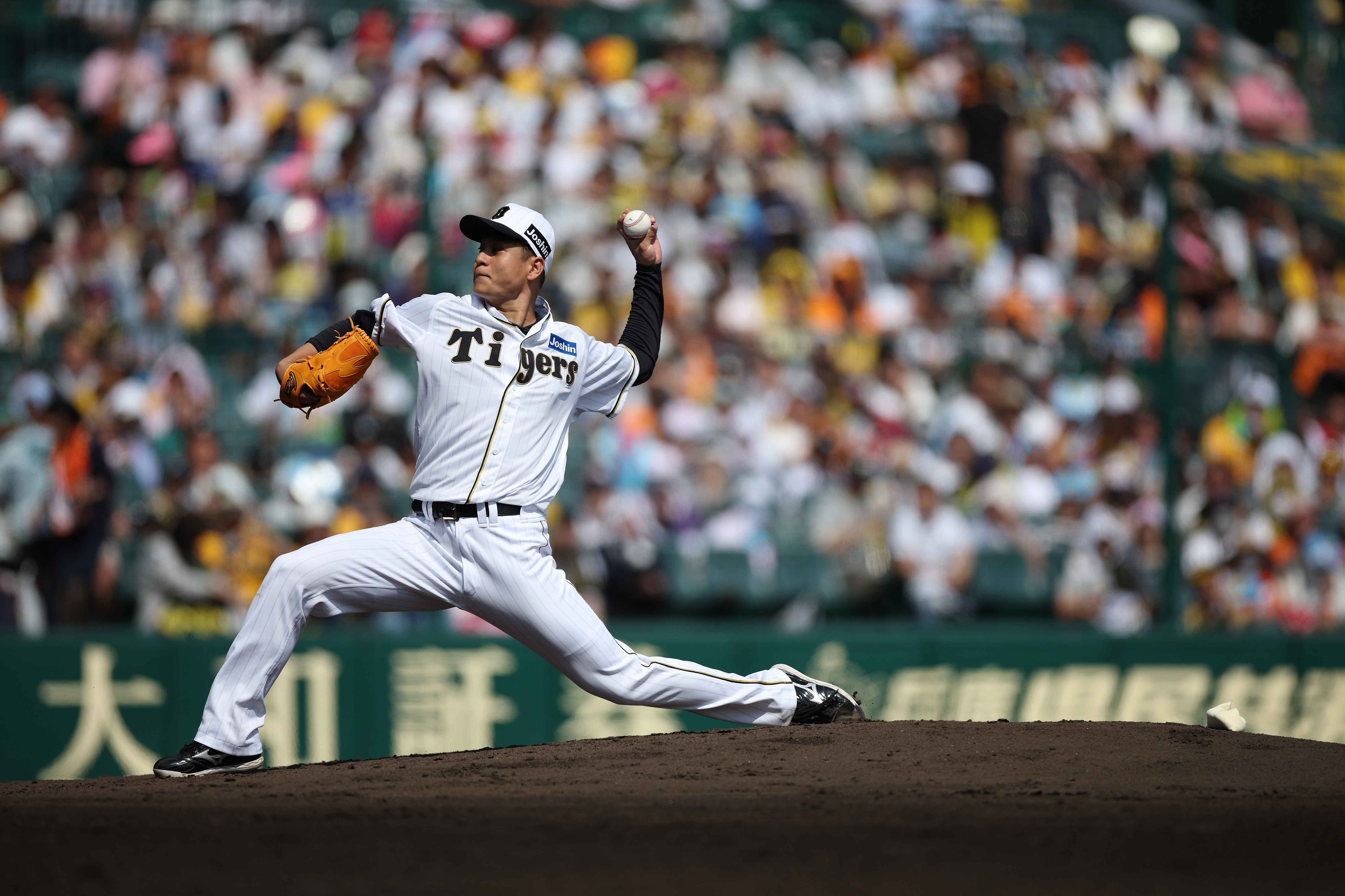 ニュース - その他 - 阪神タイガースDIDアワード 5月度月間賞