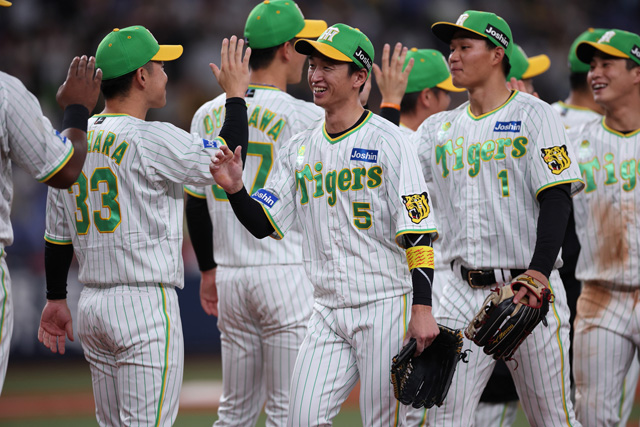 スプリングフェア family Tigers with 2023 tigers ユニフォーム 2023 阪神タイガース 阪神タイガース 無地  tigers M 応援グッズ