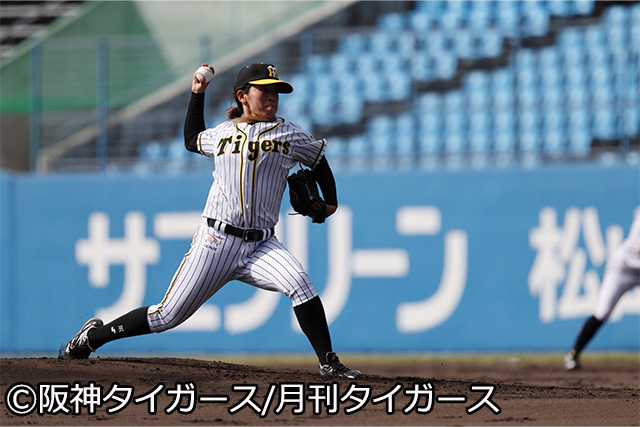 阪神タイガースWomen | 第18回全日本女子硬式野球選手権大会