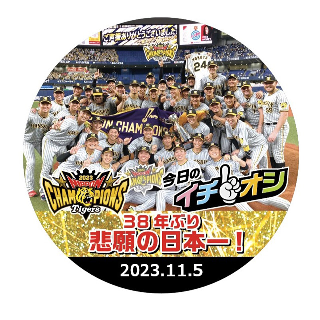 阪神タイガース ファン感謝デー チケット 2023 阪神甲子園球場不正防止