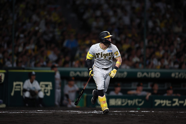 ニュース - チーム - 阪神タイガースDIDアワード 9月度月間賞決定