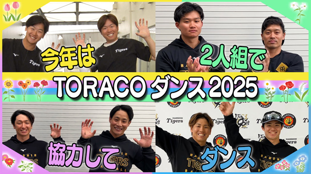 阪神タイガーステレビ mqdefault.jpg