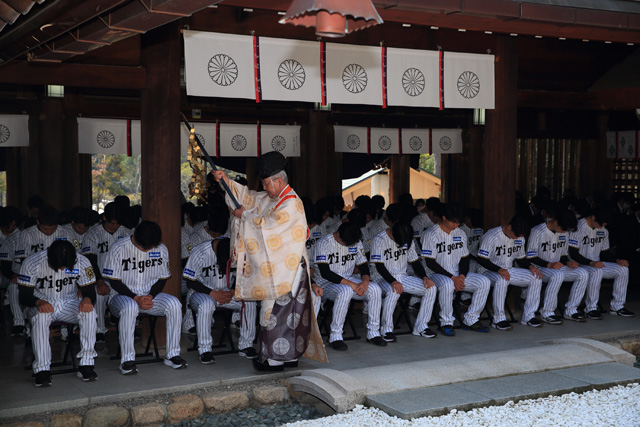 ニュース - チーム - 廣田神社で必勝祈願｜阪神タイガース 公式サイト