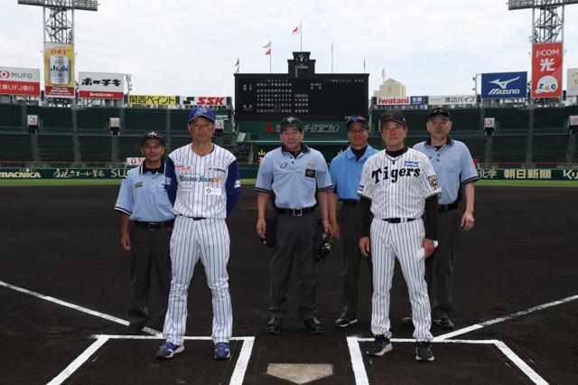 阪神タイガース アルミプレート 球団旗風 阪神タイガースアルミプレート 球団旗風 (20-23) | 通販や虎吉商店