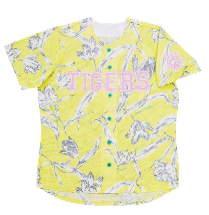 ニュース - チケット - 2025年 レギュラーシーズン公式戦 中止振替試合