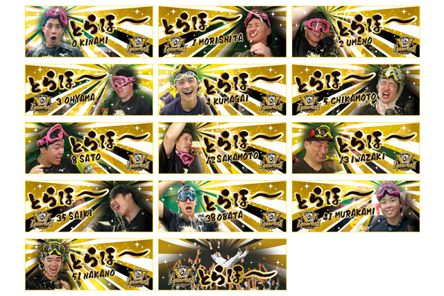 ニュース - グッズ - 【チームショップアルプス・阪神甲子園球場