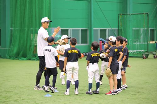 ニュース - アカデミー - タイガースアカデミー 2026年度新規募集のご