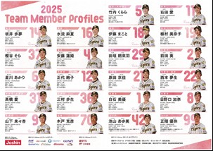 ニュース - 阪神タイガース Women - 6/27(土)阪神タイガース Women 対