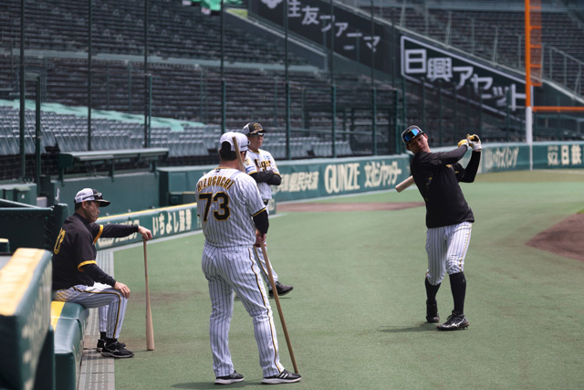 ニュース - 先乗り情報局 - 6/21-6/23 横浜DeNAベイスターズ戦 |  超満員の甲子園から再出発、連覇への挑戦は勝負の夏場へ【先乗り情報局】｜阪神タイガース 公式サイト