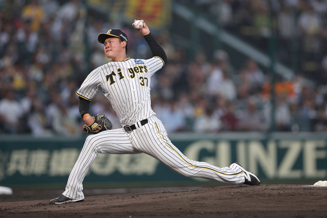 7月19日　阪神タイガースvs広島カープ　団体入場券1塁アルプス指定席　2枚連番 7月19日 阪神タイガースvs広島カープ 団体入場券1塁アルプス指定