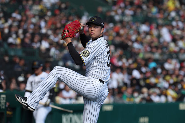 ニュース - 先乗り情報局 - 4/1-4/3 横浜DeNAベイスターズ戦
