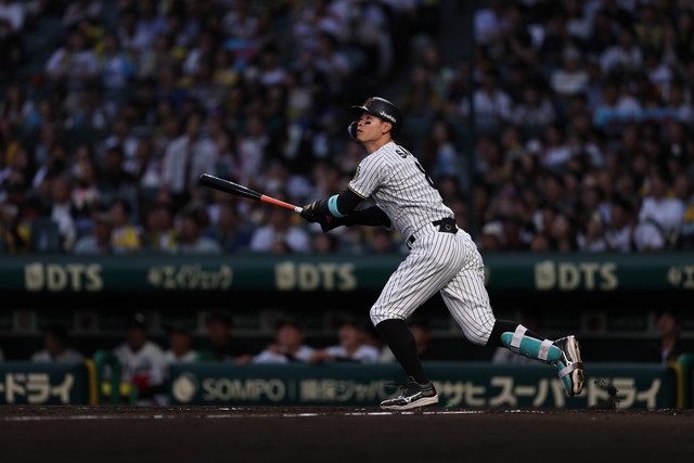 ニュース - 先乗り情報局 - 6/6-6/8 オリックス・バファローズ戦