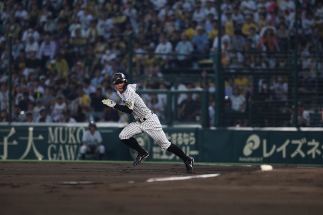 ニュース - 先乗り情報局 - 9/5-9/7 広島東洋カープ戦 |さあ甲子園Vだ