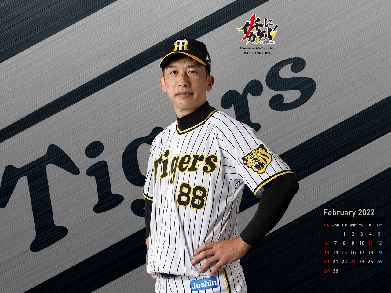 ダウンロード 特集壁紙 阪神タイガース 公式サイト