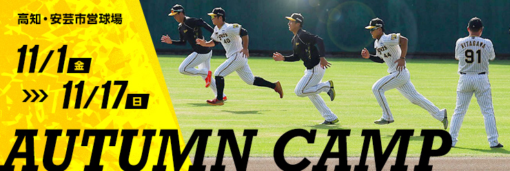 阪神タイガース 秋季キャンプ2024 安芸
